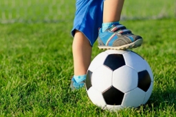В какой вид спорта отдать ребенка?